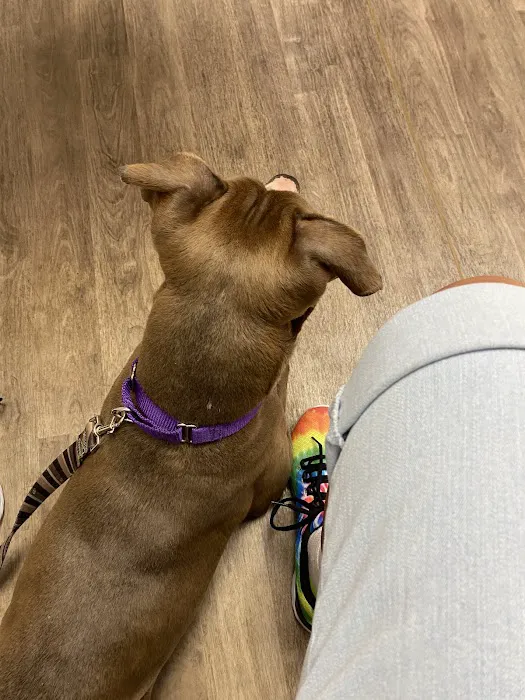 Montrose Veterinary Hospital 4