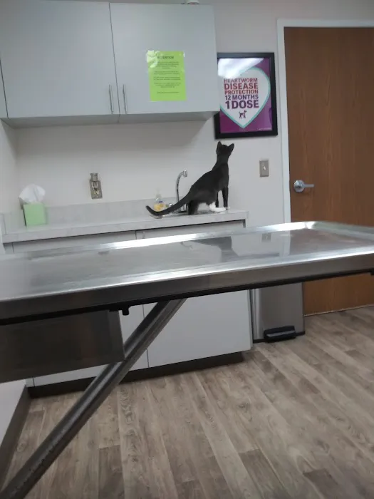 Montrose Veterinary Hospital 1