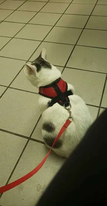 MidMichigan Veterinary Hospital 12