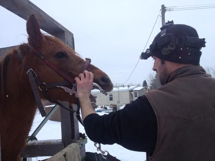 Natural Equine Concepts 1