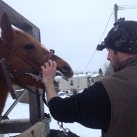 Natural Equine Concepts ico