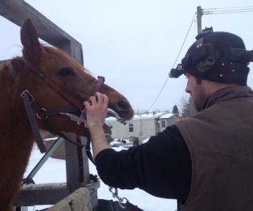 Natural Equine Concepts