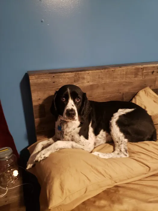 Animal Health Care of North Branch 6