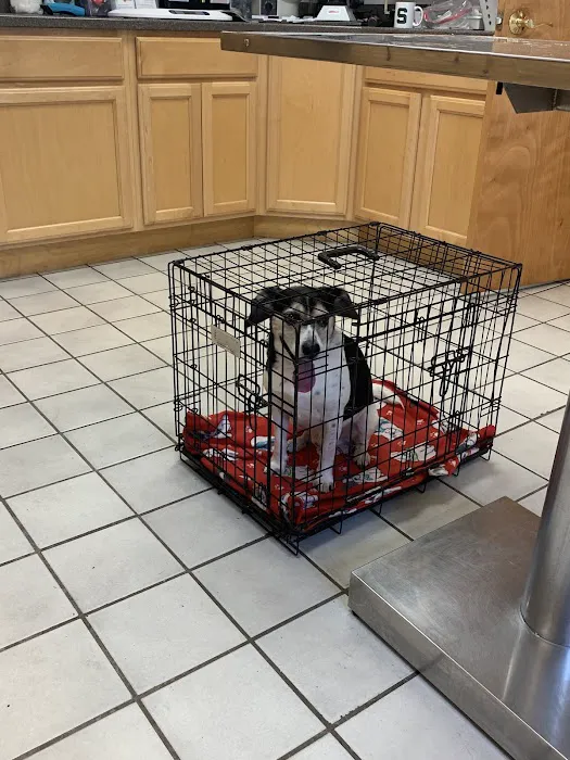 Animal Health Care of North Branch 8