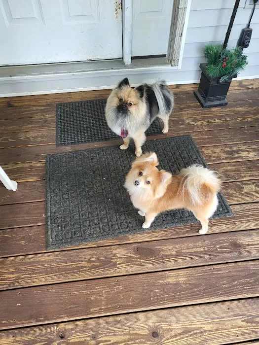 Animal Health Care of North Branch 2