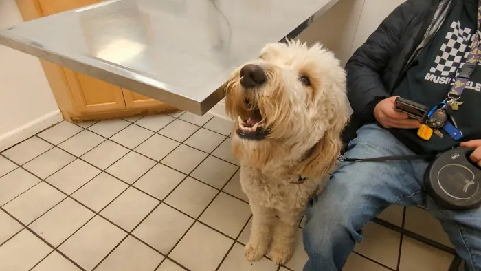Animal Health Care of North Branch 5
