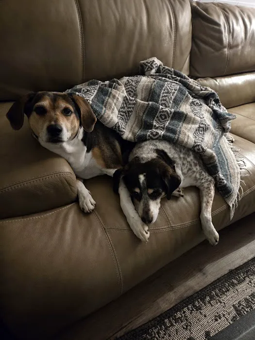 Town & Country Animal Care Inc 5
