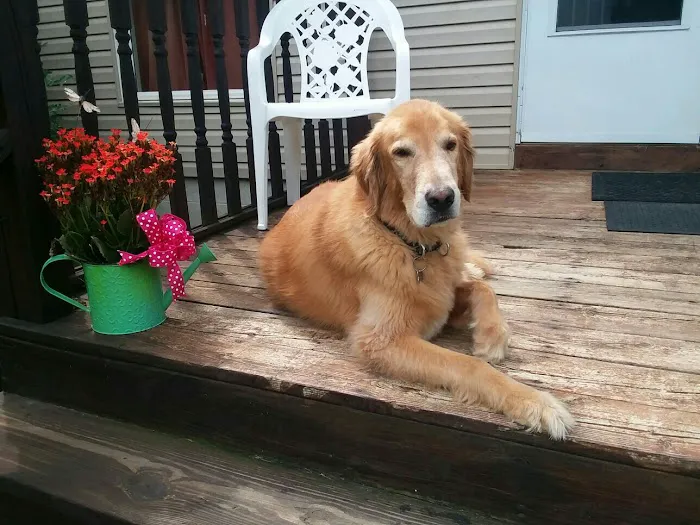 Daley Road Animal Care 9