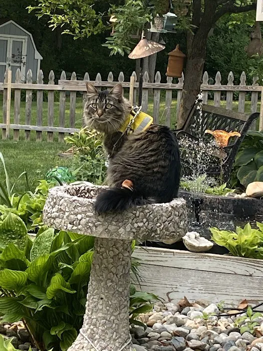 Daley Road Animal Care 7