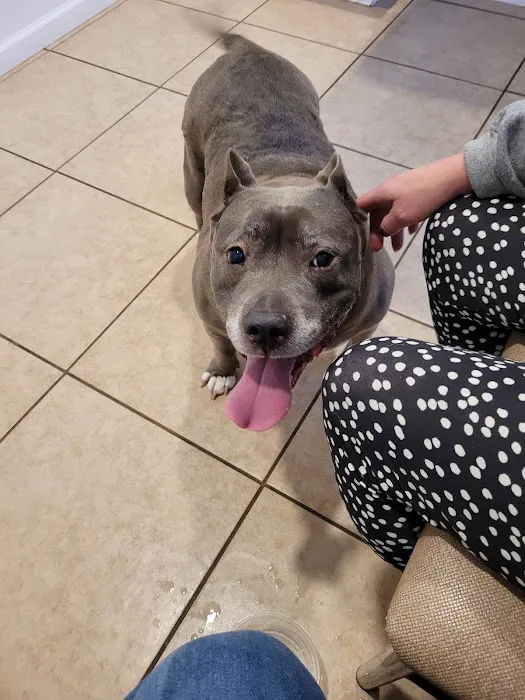 Daley Road Animal Care 10