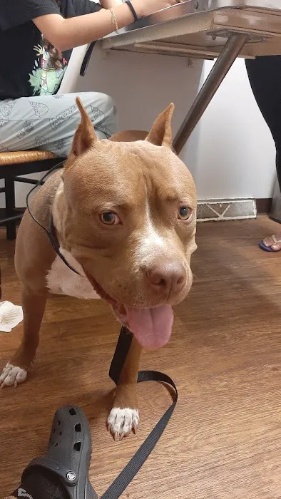 Westwood Veterinary Hospital 10
