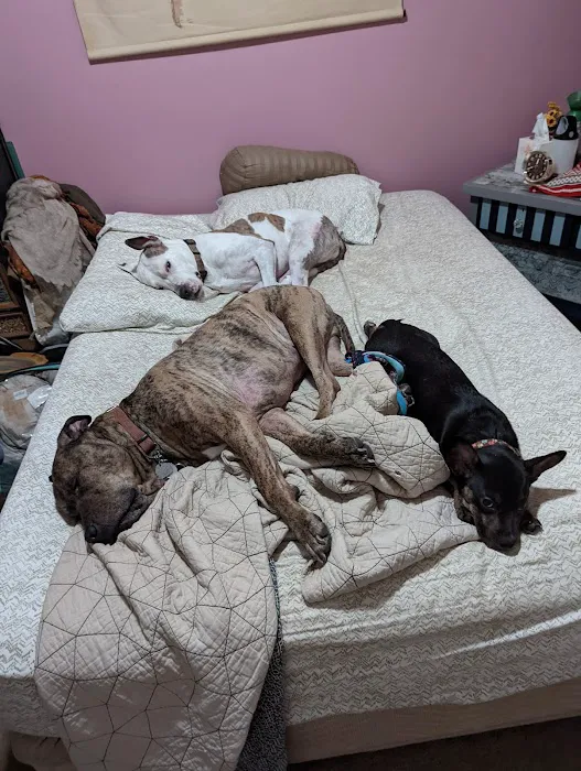 Westwood Veterinary Hospital 9