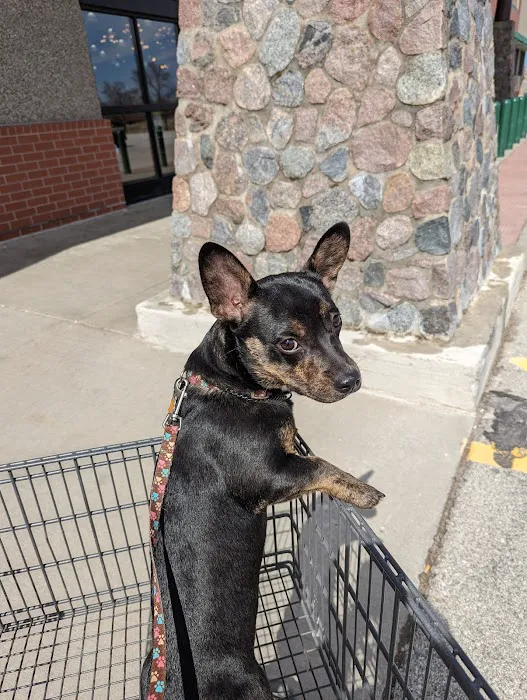 Flushing Animal Hospital & Pet Hotel 1