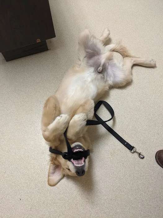 Flushing Animal Hospital & Pet Hotel 4