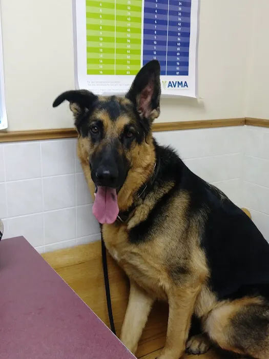 Riverside Animal Hospital 2