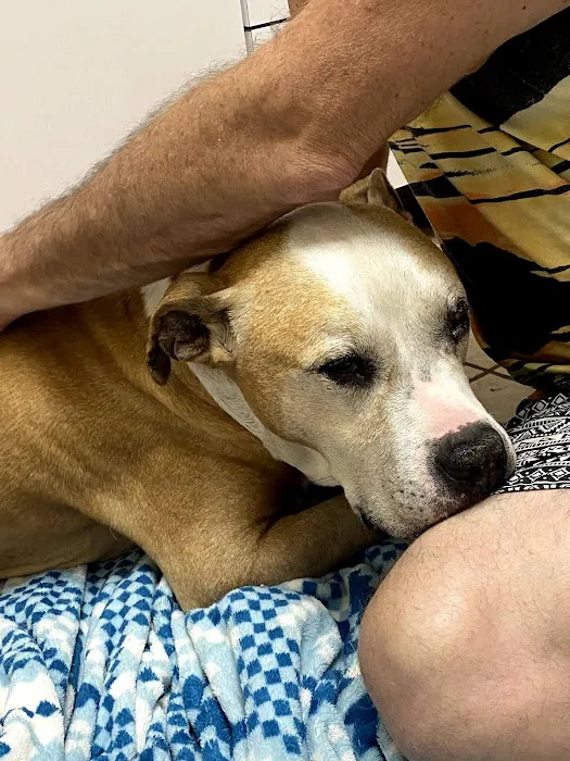 Riverside Animal Hospital 7