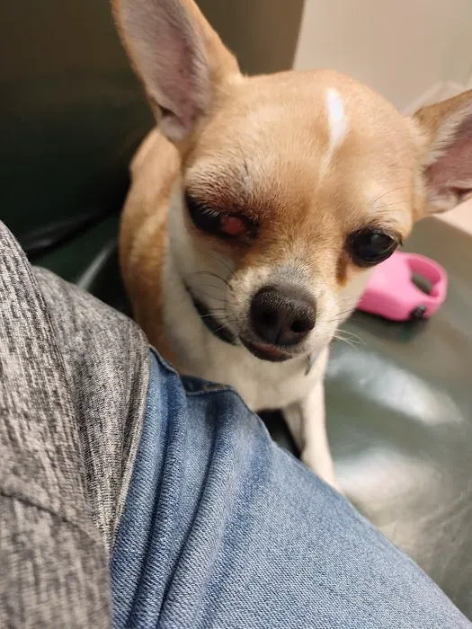 Riverside Animal Hospital 9