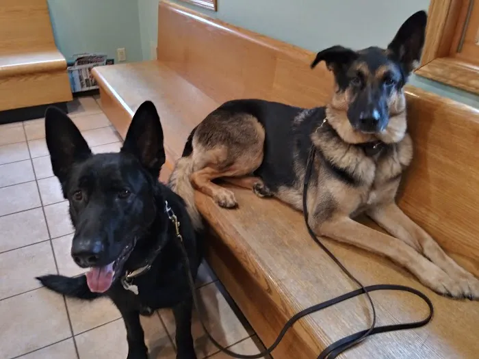 Riverside Animal Hospital: Koan Michele DVM 2