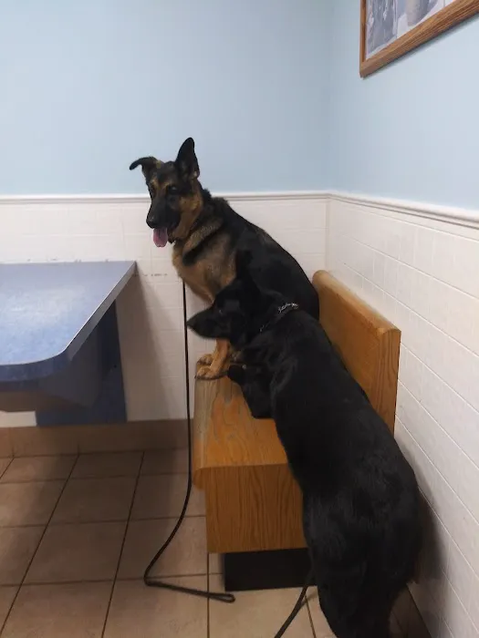 Riverside Animal Hospital: Koan Michele DVM 1