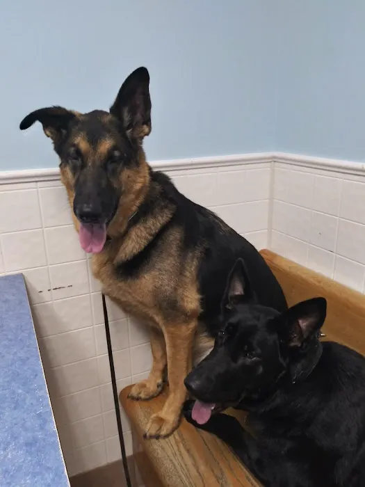 Riverside Animal Hospital: Koan Michele DVM 3