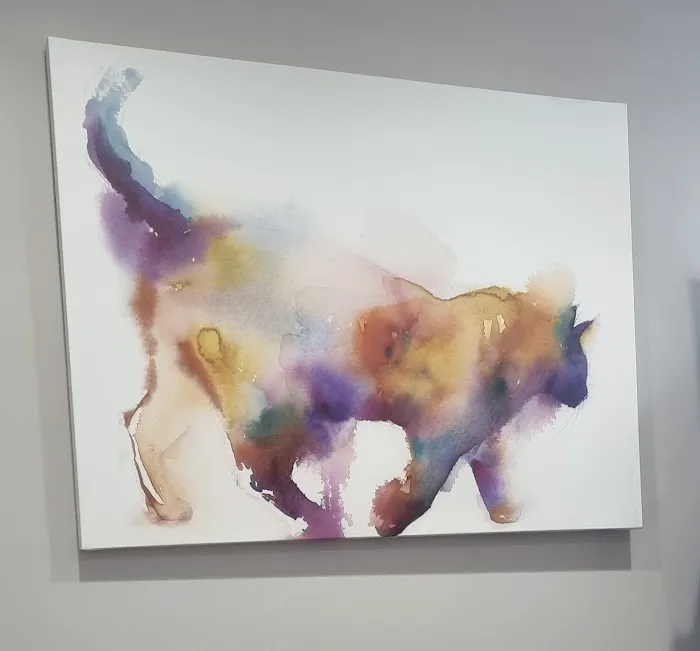 East River Veterinary Clinic 8