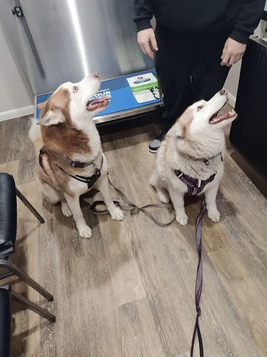 East River Veterinary Clinic 2