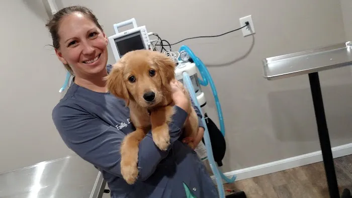 East River Veterinary Clinic 7