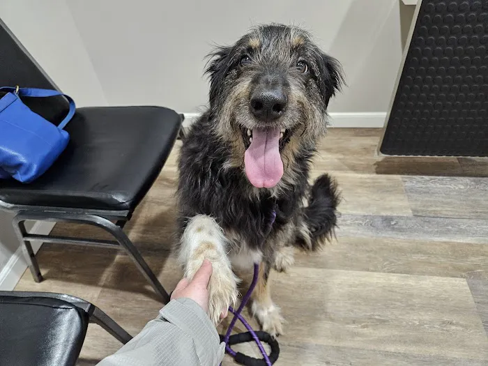 East River Veterinary Clinic 1