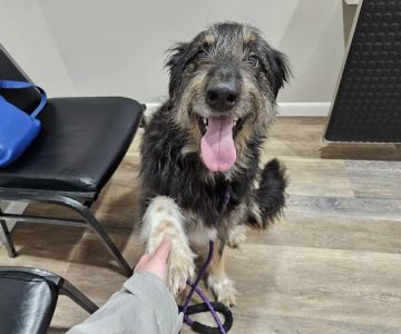 East River Veterinary Clinic