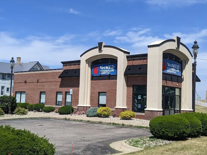 VetMED Veterinary Hospital 3