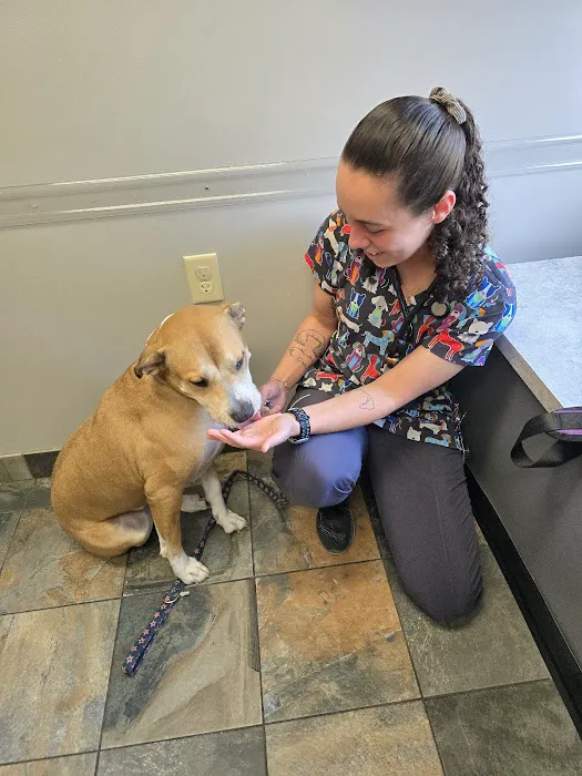 VetMED Veterinary Hospital 5