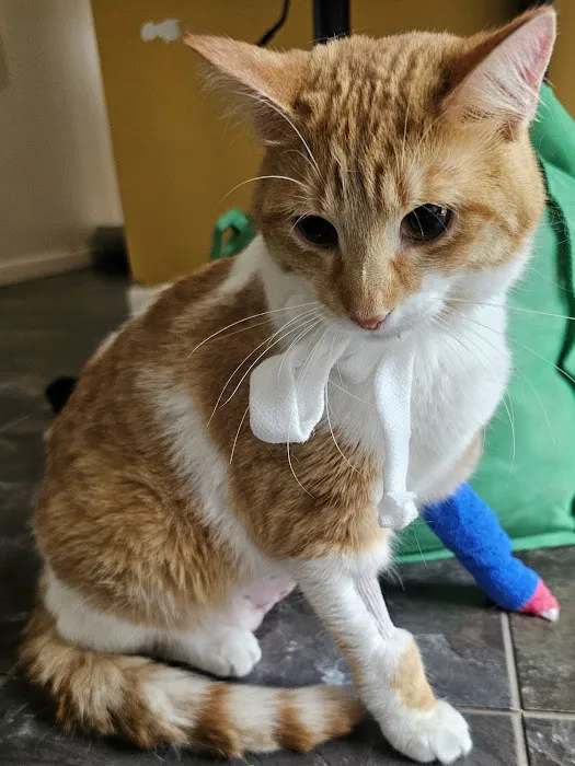 VetMED Veterinary Hospital 9