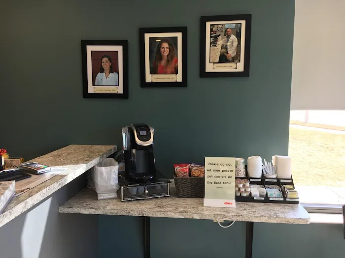VetMED Veterinary Hospital 2