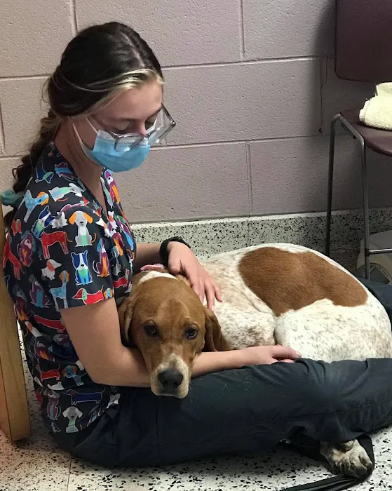 Euclid Veterinary Hospital 2