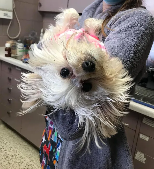 Euclid Veterinary Hospital 3