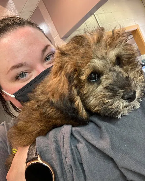 Euclid Veterinary Hospital 5