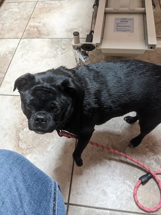 Bangor Veterinary Clinic 4