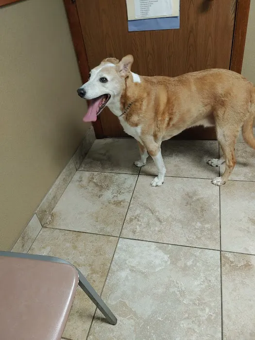 Bangor Veterinary Clinic 7