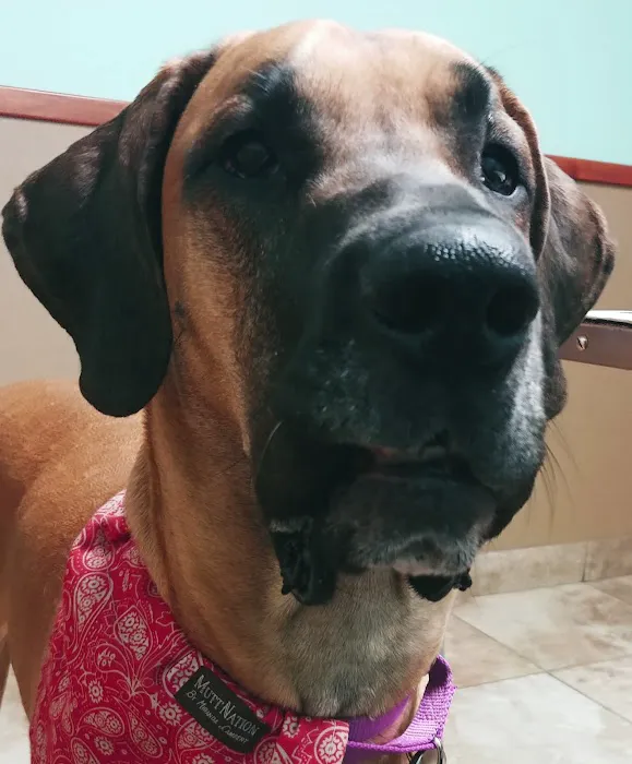 Bangor Veterinary Clinic 5