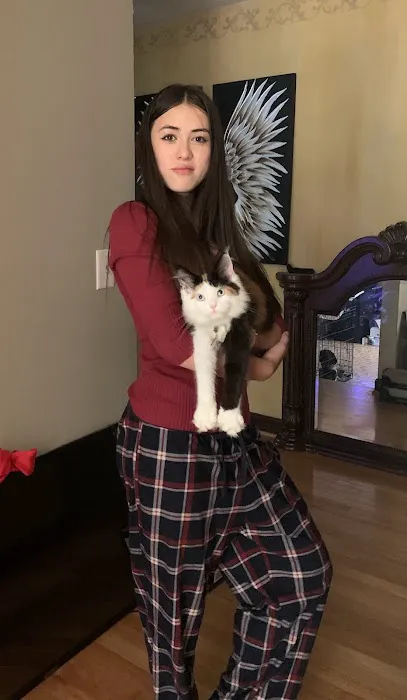 Michigan Maine Coons 1