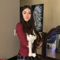 Michigan Maine Coons ico