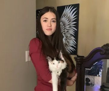 Michigan Maine Coons