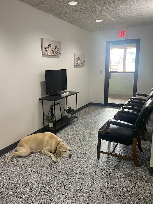 Pet Care Plus 7