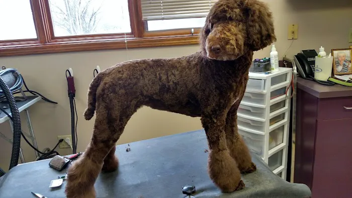 Pierson Pet Hospital 5
