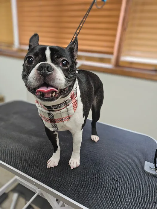 Pierson Pet Hospital 4