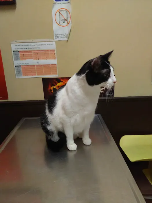 Alpine Animal Hospital 1