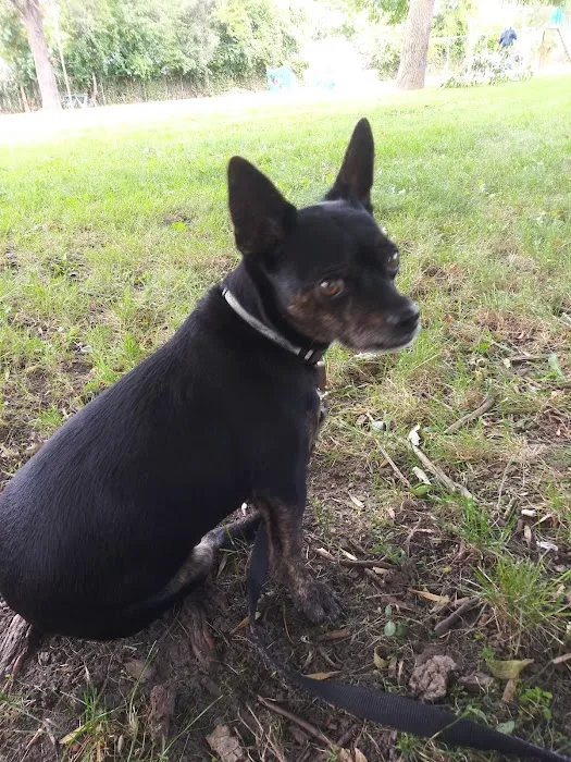 Davison Veterinary Hospital: Mc Fall Susan G DVM 5
