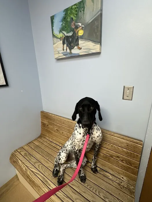 Dunckel Veterinary Hospital 1