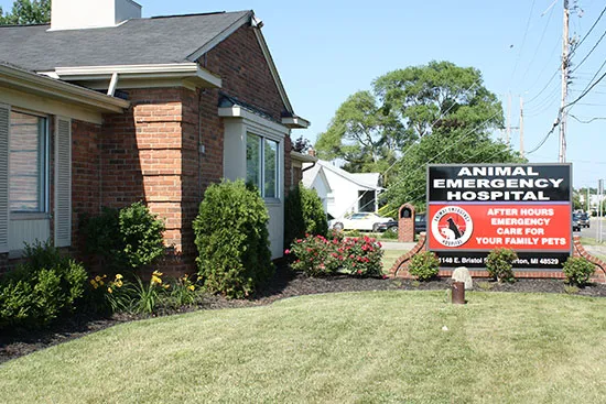 Animal Emergency Hospital 12
