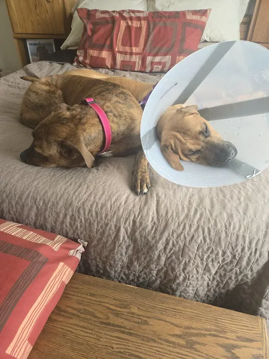 Pleasant View Animal Clinic 8